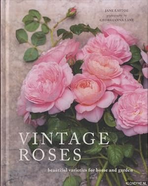 Seller image for Vintage Roses. Beautiful varieties for home and garden for sale by Klondyke