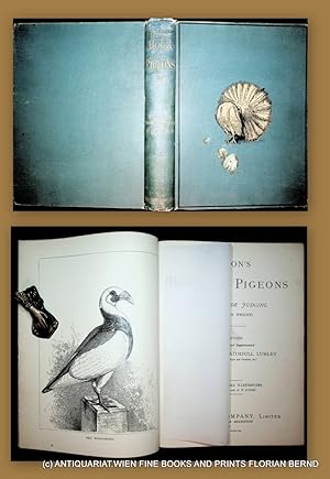 Fulton's book of pigeons with standards for judging.