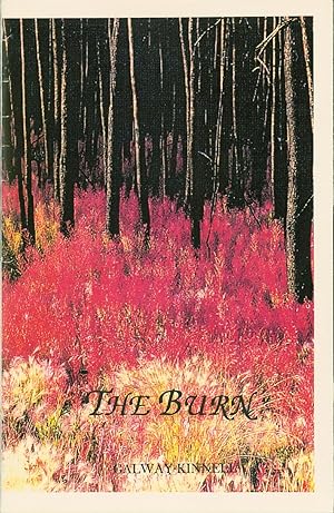 Seller image for The Burn for sale by Eureka Books