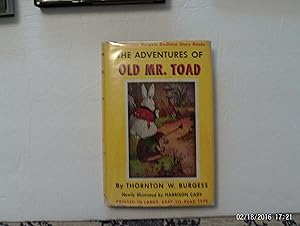 The Adventures Of Old Mr. Toad
