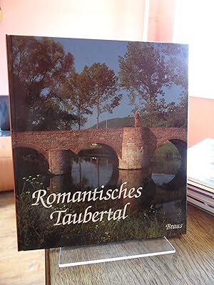 Seller image for Romantisches Taubertal. for sale by Antiquariat Floeder
