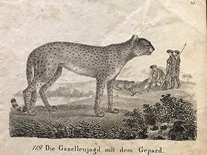 Die Gazellenjagd mit dem Geparden, "Neue Bildergallerie für die Jugend", 1829, II.Band, Tafel 119.