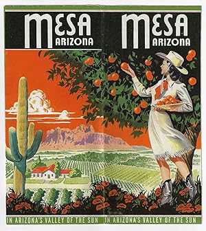 Mesa, Arizona, In Arizona's Valley of the Sun