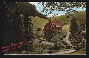 AK Felsenhaus bei Todtmoos Hochschwarzwald coloriert gelaufen 1965