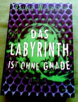 Das Labyrinth ist ohne Gnade. Thriller.