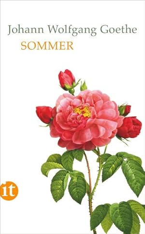 Imagen del vendedor de Sommer. Johann Wolfgang Goethe / Insel-Taschenbuch ; 4634 a la venta por NEPO UG