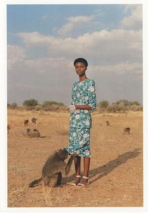 Seller image for Tony Coulson Namibia West Africa Fashion Landscape Award Postcard for sale by Postcard Finder