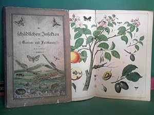 Die schädlichen Insekten des Garten- und Feldbaues. 8 Doppelfolio-Tafeln in Farbendruck und Color...