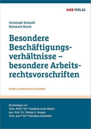 Seller image for Besondere Beschaeftigungsverhaeltnisse - besondere Arbeitsrechtsvorschriften for sale by moluna