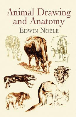 Imagen del vendedor de Animal Drawing and Anatomy (Paperback or Softback) a la venta por BargainBookStores