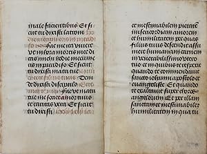 Pair of Manuscript leaves.