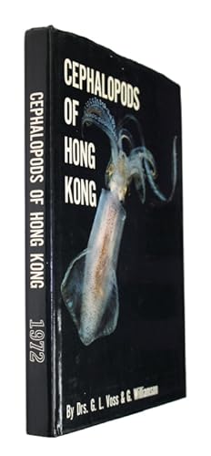 Cephalopods of Hong Kong