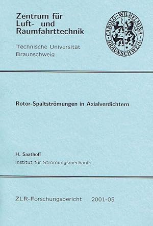 Rotor-Spaltströmungen in Axialverdichtern.