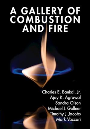 Imagen del vendedor de Gallery of Combustion and Fire a la venta por GreatBookPrices