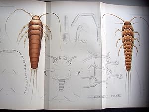 Proceedings of the California Academy of Sciences. Second Series. Vol. 6. 1896.