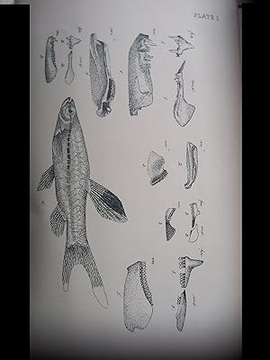 Proceedings of the California Academy of Sciences. Second Series. Vol. 2. 1889.