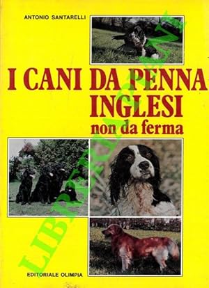 I cani da penna inglesi non da ferma. (Spaniels e retrievers).