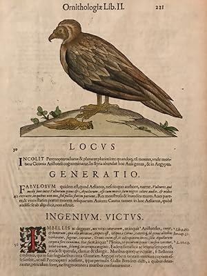 Ornithologiae Libri. II, Blatt S 221/222