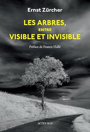 les arbres, entre visible et invisible : s'étonner, comprendre, agir