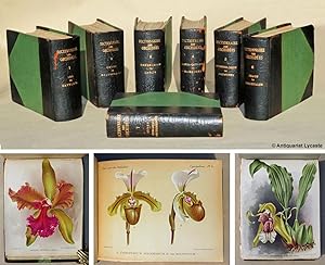 Dictionnaire Iconographique des Orchidées - Chronique Orchidéenne (zusammen 7 Bände).