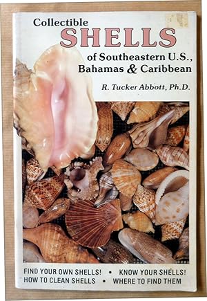 Image du vendeur pour Collectible Shells of Southeastern U.S. Bahamas & Caribbean. mis en vente par librairie sciardet