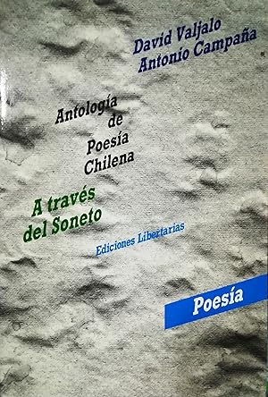 A través del soneto : antología de la poesía chilena. Introducción Beth Miller
