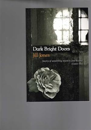 Dark Bright Doors