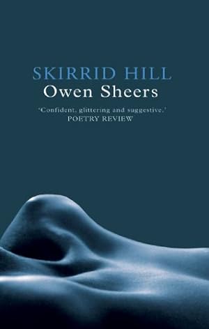 Seller image for Skirrid Hill by Sheers, Owen [Paperback ] for sale by booksXpress