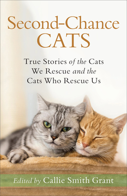 Seller image for Second-Chance Cats: True Stories of the Cats We Rescue and the Cats Who Rescue Us (Paperback or Softback) for sale by BargainBookStores