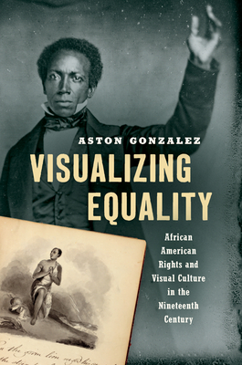 Immagine del venditore per Visualizing Equality: African American Rights and Visual Culture in the Nineteenth Century (Paperback or Softback) venduto da BargainBookStores