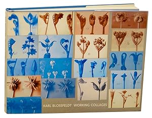 Seller image for Karl Blossfeldt: Working Collages for sale by Jeff Hirsch Books, ABAA