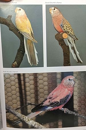 Complete Encyclopedia of Cage & Aviary Birds