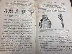 Les plantes etudiees au microscope, bibliotheque des merveilles.