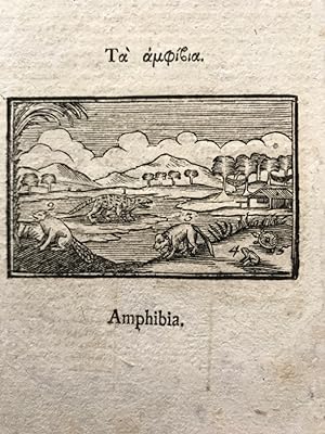 Orbis pictus, S 69/70, XXXI., Latein/ Griechisch: Insecta/ Amphibia - selten!