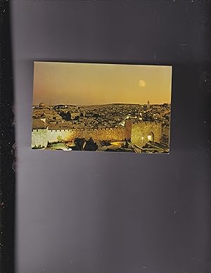 Seller image for Jerusalem and Damascus Gate at night. Yerushalayim ve-Sha'ar Schechm beLaila for sale by Meir Turner