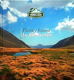 Flora y fauna Lo Barnechea : Santuario de la Naturaleza Yerba Loca