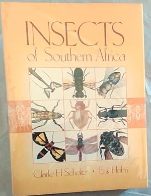 Imagen del vendedor de Insects of Southern Africa a la venta por Chapter 1