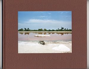 Seller image for Fried Waters. for sale by The Old Print Shop, Inc.