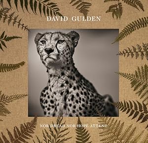 Seller image for David Gulden : Nor Dread Nor Hope Attend: Photographs from the Plains of Africa for sale by GreatBookPrices