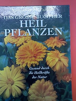 Bild des Verkufers fr Das grosse Buch der Heilpflanzen, gesund durch die Heilkrfte der Natur zum Verkauf von biblion2