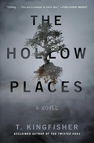 Seller image for The Hollow Places for sale by moluna