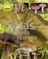 Vida verde. Setas de España y Europa