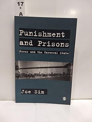 Punishment and Prisons: Power and the Carceral State