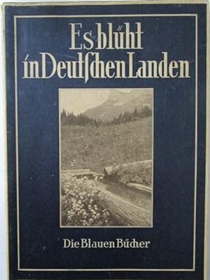 Imagen del vendedor de Es blht in deutschen Landen. a la venta por Antiquariat Gisa Hinrichsen