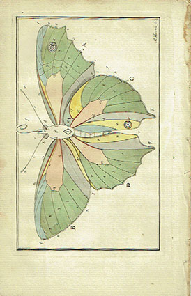 The English Lepidoptera, or the Aurelian's pocket companion, containing a catalogue of upward of ...