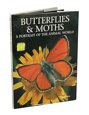Image du vendeur pour Butterflies and moths: a portrait of the animal world. mis en vente par Andrew Isles Natural History Books