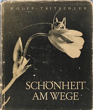 Seller image for Schnheit am Wege. Text v. Erich Walch. 1. Aufl. for sale by Antiquariat Held