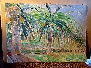 Palmenhain auf der Ile de Kos 1955