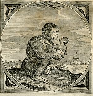 Antique Print-MONKEYS-REAP-SOW-Venne-Jacob Cats-1655