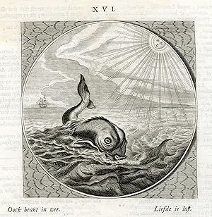 Antique Print-LOVE-MURONA FISH-Venne-Jacob Cats-1655